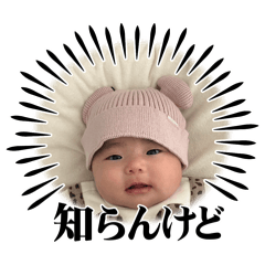suichacha01