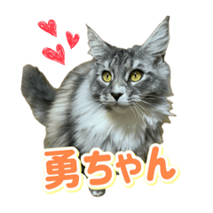 MINAMI_20250223083243