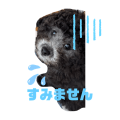 aoi_20250223141415