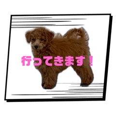 Hina_20250223011200