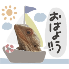 poco_20250223105857