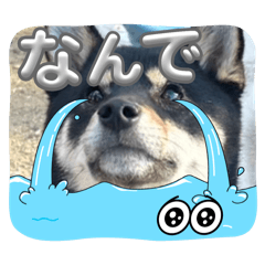 riko_20250223114848