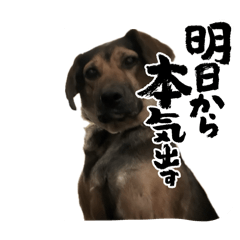 natsu_20250223105304