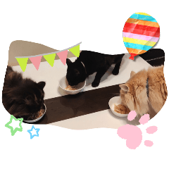 sumire_20250223122209