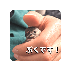 puku_20250223113018