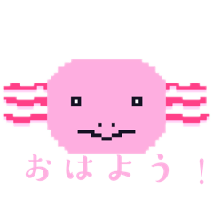 iroha_20250223125051