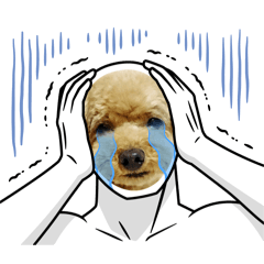 mya_ta_