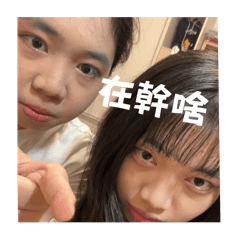 Pinnini 7報備用