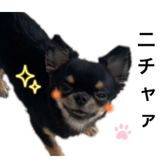 pon_20250223134600