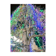 HIMAWARI_20250223153459