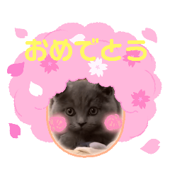 tomo_20250223130256