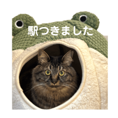 MOKO_20250223155954