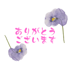chi_20250223144929
