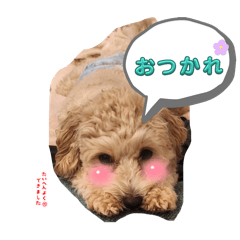 yuka_20250223144724