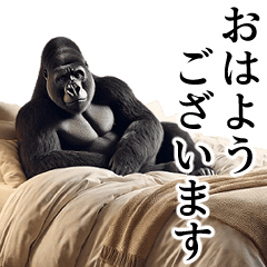 [Greetings] Handsome gorilla