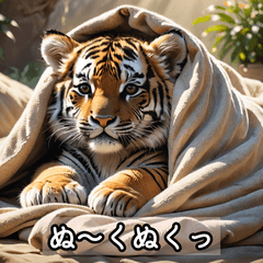Baby Tiger Expressions
