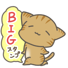 Cute little Kitten Big Stickers