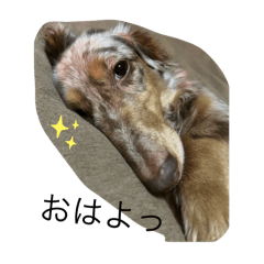 ryuki_20250221210425