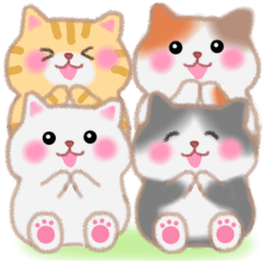 Four cat  in Kansai