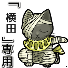 Mummycat Name Animation for Yokota