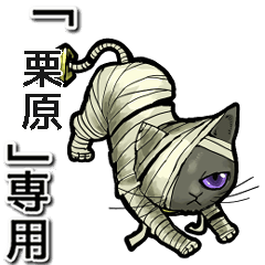 Mummycat Name Animation for Kurihara