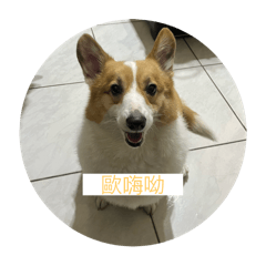 蘿蔔特輯