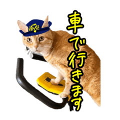 猫のみゆとメロ 2