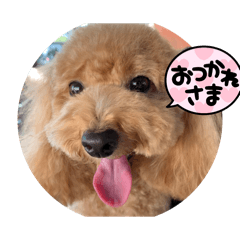tomo_20250223154415