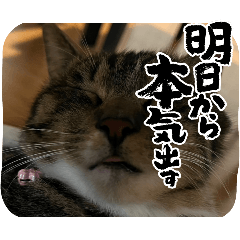 haruki_20250223163216