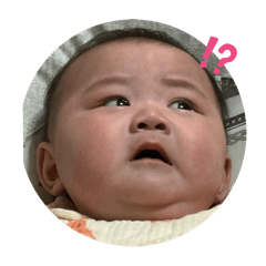 優格表情包
