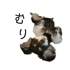 yukari_20250222173649