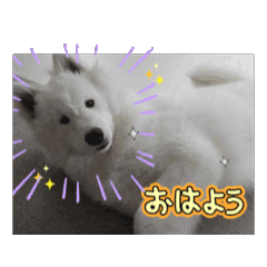 karin_20250223204221