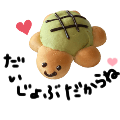 Lovely  turtle by Alina