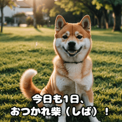 Shiba Inu Relax & Cute Stickers