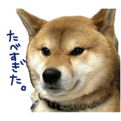 riri_20250222222507