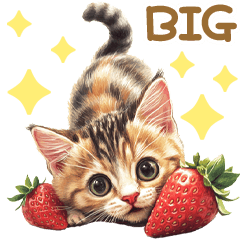 Cats' everyday BIG stickers