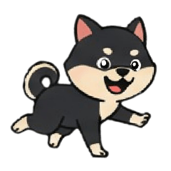 Black SHIBA DOG SORA