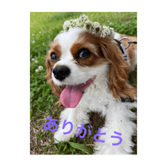 taku taku_20250223173959