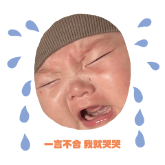鑫寶寶（小QQ）