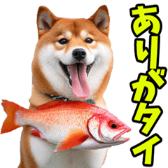 ダジャレ☆柴犬