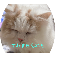 HAPPY_20250223180120