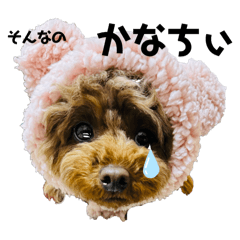 kchan_20250223013435
