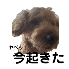 Choco_20250223175915