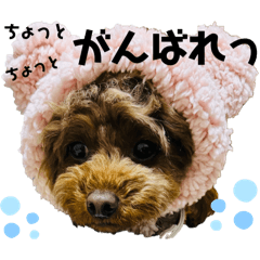 kchan_20250223013845