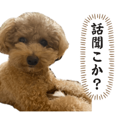 Hana_20250223181221