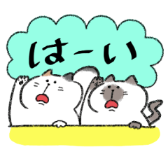 Tanuki tail cat