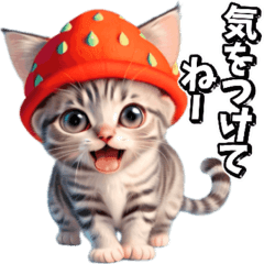 [Movement] Strawberry and tabby kitten