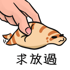 感覺好捏的Q彈蛇蛇