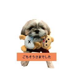 aru_20250223202315