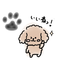 ringo_20250223110834